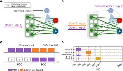 Minimal circuit motifs for second-order conditioning in the insect mushroom body